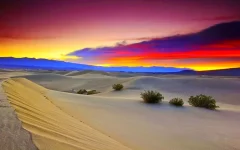 erurGm5.webp
