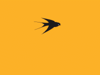 2x2Cdw6.gif