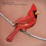 Alexisonfire_-_Old_Crows_-_Young_Cardinals_(2009).webp