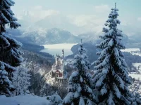 BAVZRRs.webp