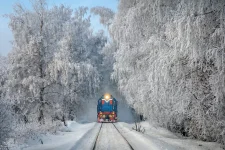 791rugC.webp