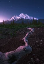 7BdSd82.webp