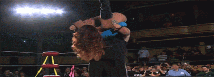 3Rg656a.gif