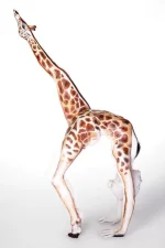 KGjV8oc.webp