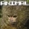 animonkey.webp