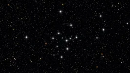 D4272F5C-E81D-42F2-BC9C-2C6ED72E2F7B.webp
